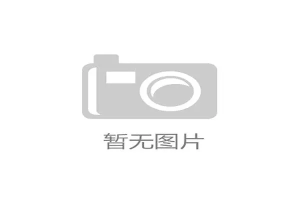 3大SEO避坑指南：汕头网站优化与厨房蜘蛛案例